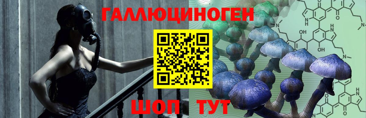 Коркино  Галлюциногенные грибы мицелий  как найти   Галлюциногенные грибы GOLDEN TEACHER  Вход с VPN 